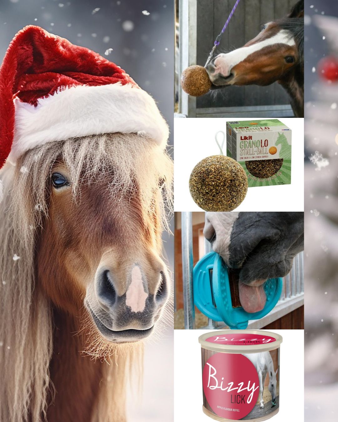 Mikuláš pre kone (1)